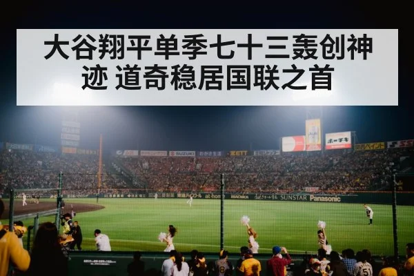 baseball stadium night game