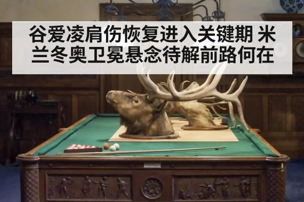 谷爱凌肩伤恢复进入关键期 米兰冬奥卫冕悬念待解前路何在